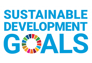 Sustainable Development Goals logo